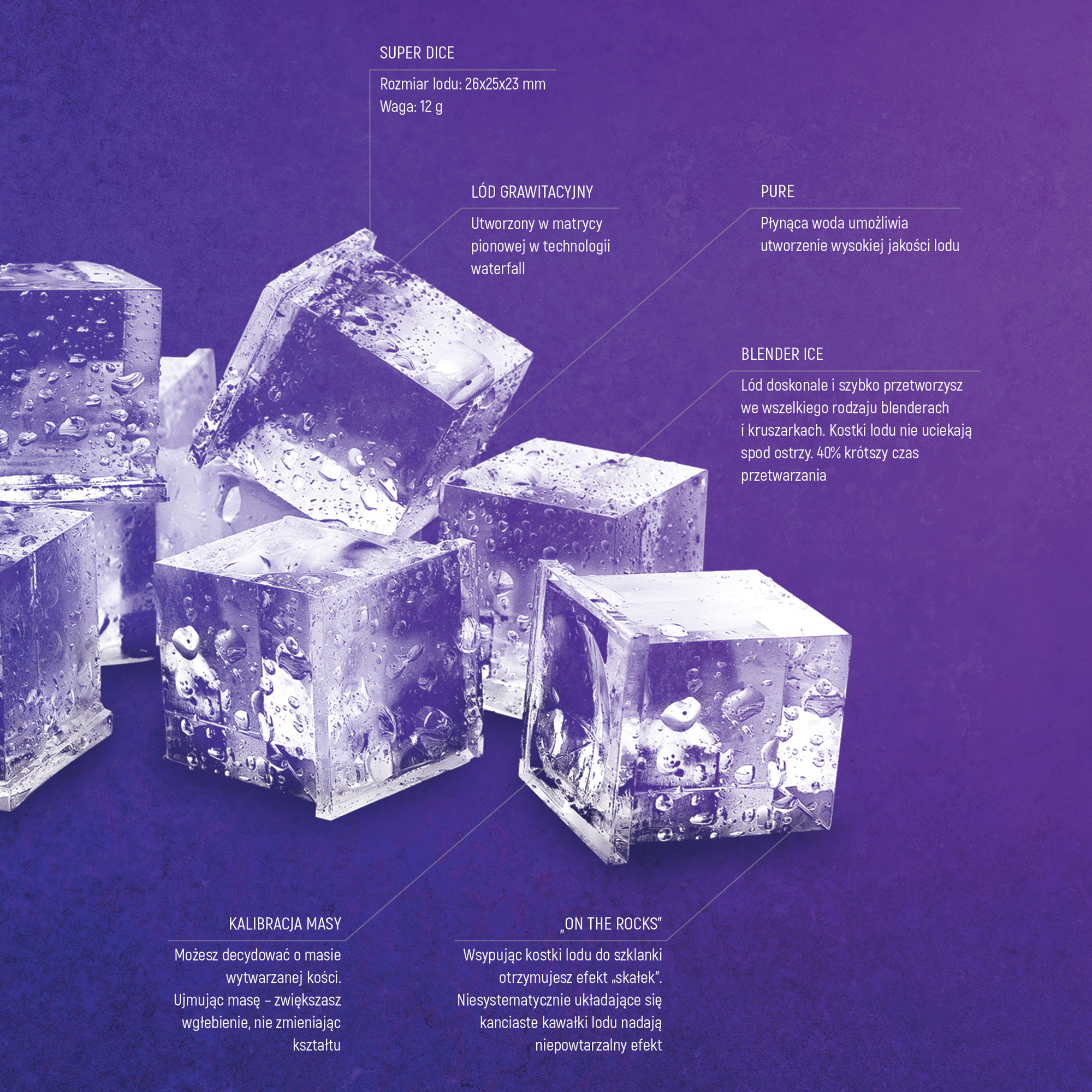 ice-cube_GRAVITATION